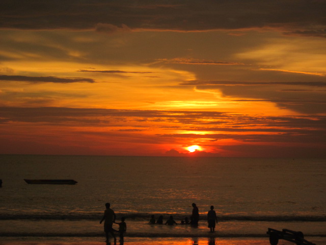 Magic Mushrooms in Thailand Magic Mushrooms in Thailand