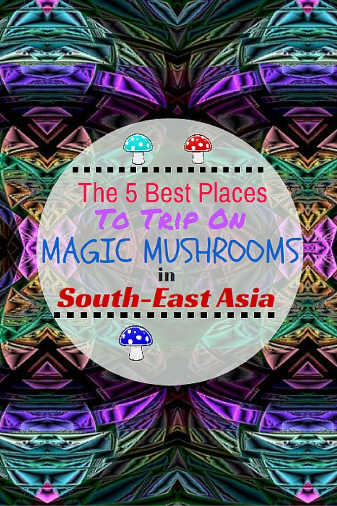 Magic Mushroom in South-East Asia!