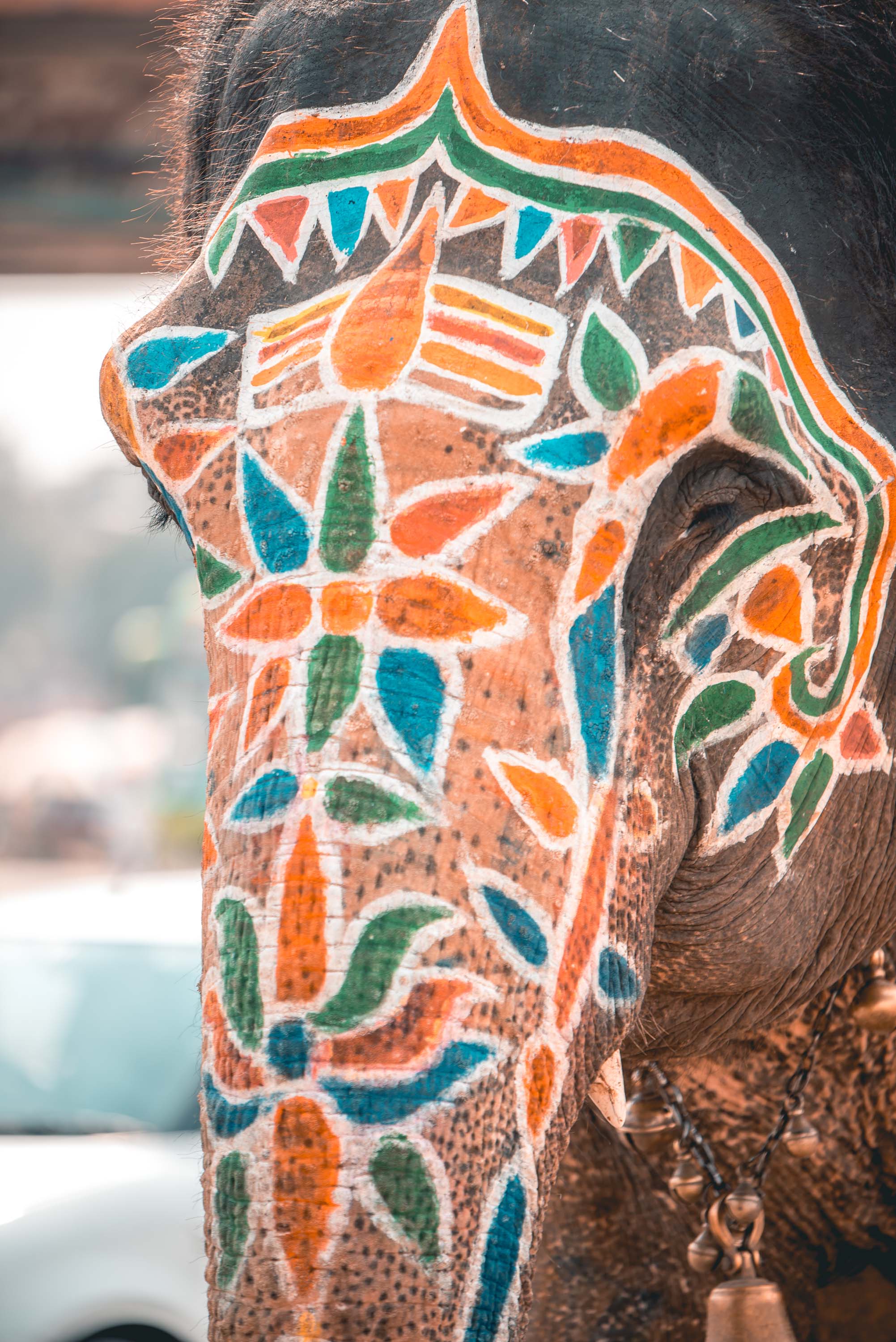 Deccan Oydssyey - Nashik, India Deccan Oydssyey - Nashik, India