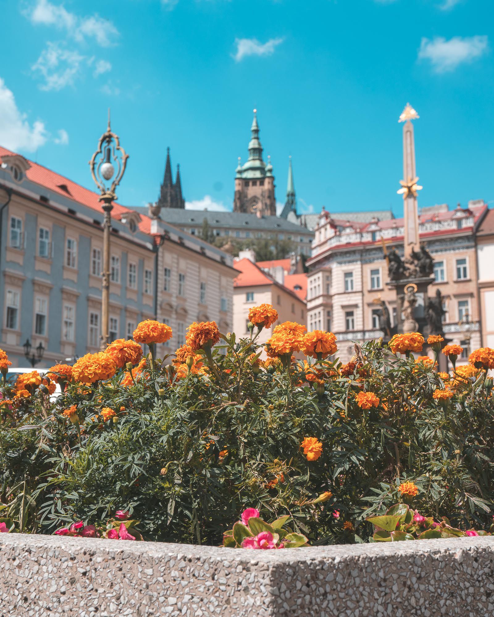 Bus About Europe Bus Pass Busabout Europe