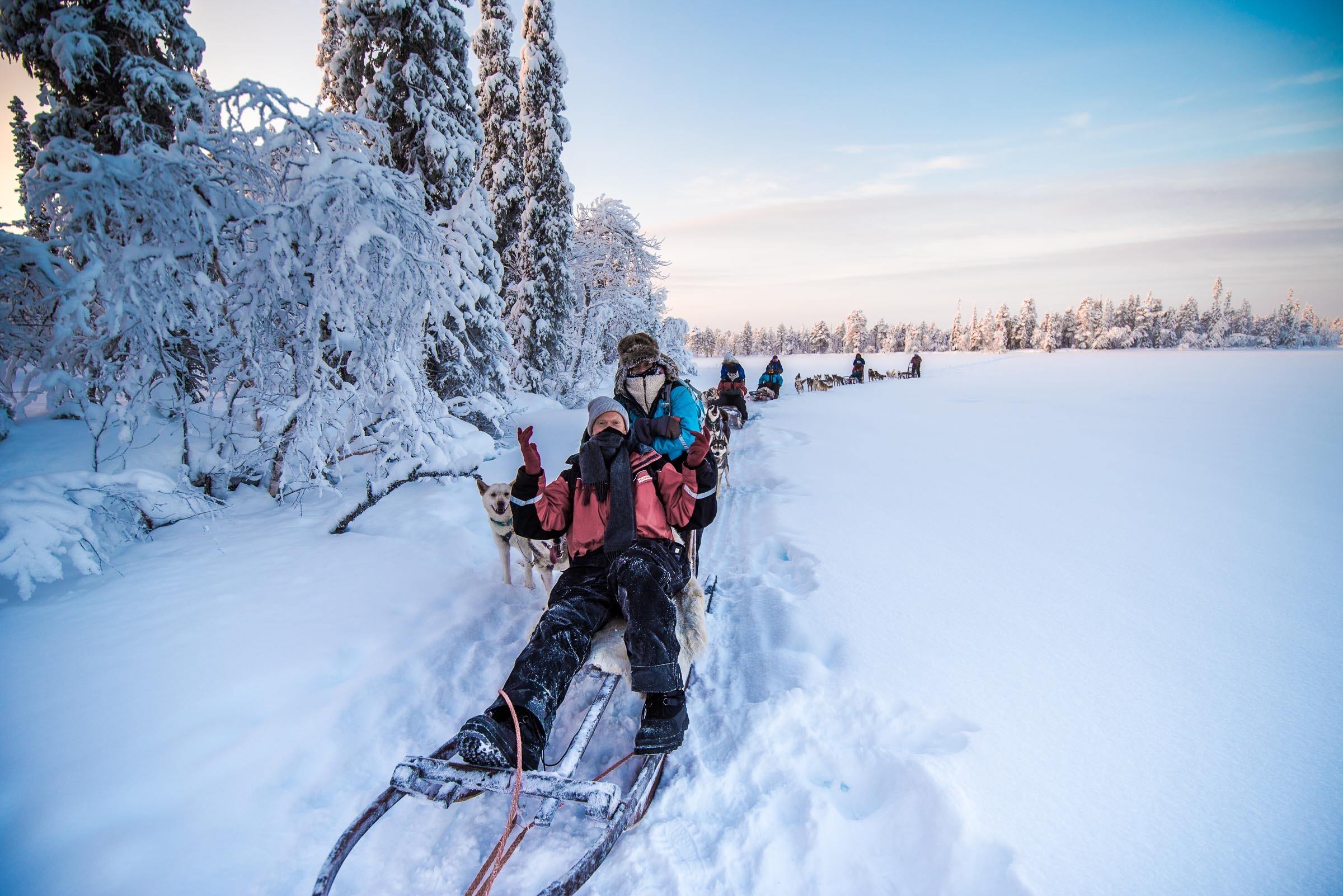 Husky Sledding Torassieppi, Finland 4893 Husky Sledding Torassieppi, Lapland, Finland