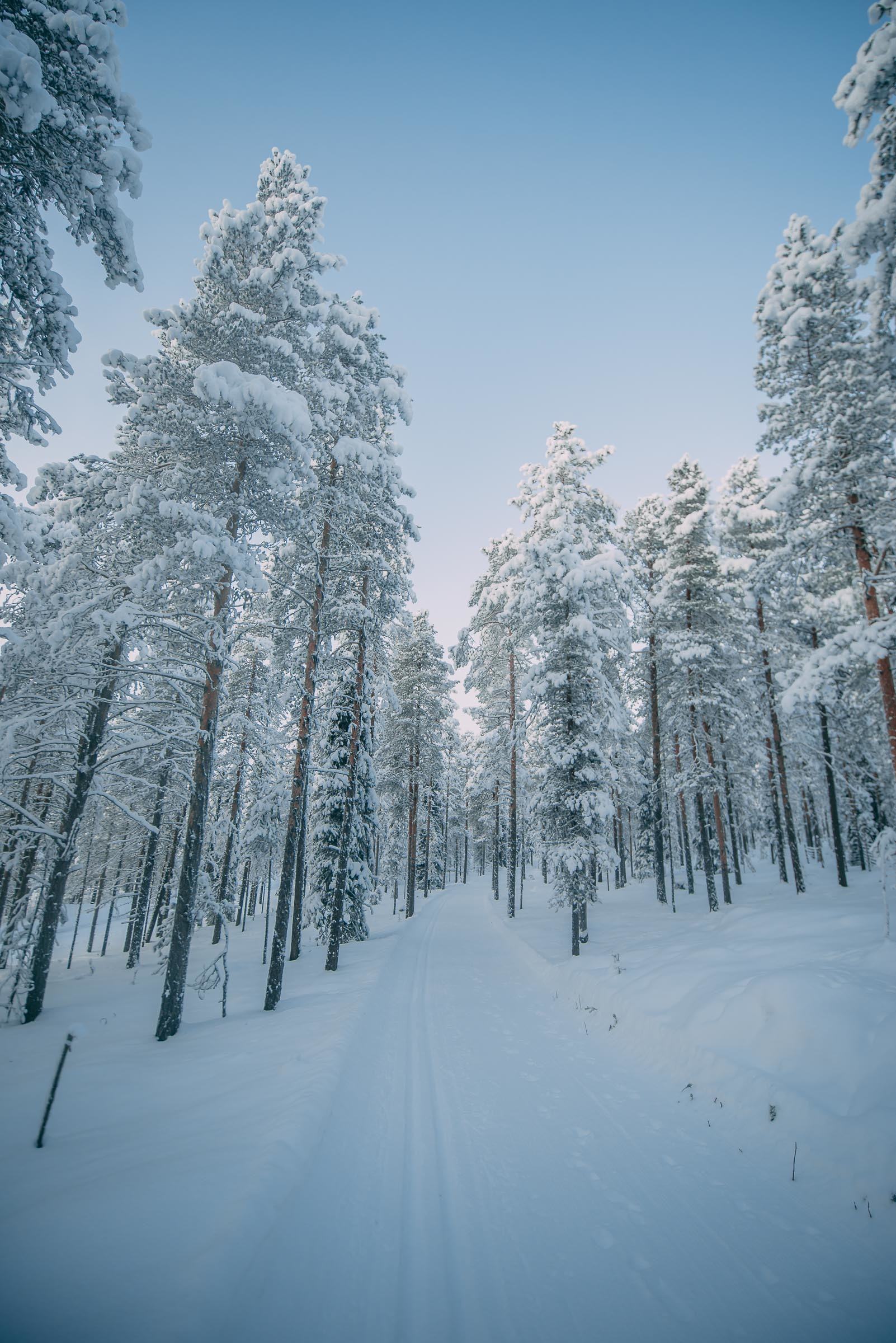 Cross Country Skiing Lapland FinlandCross Country Skiing Lapland Finland Cross Country Skiing Lapland Finland