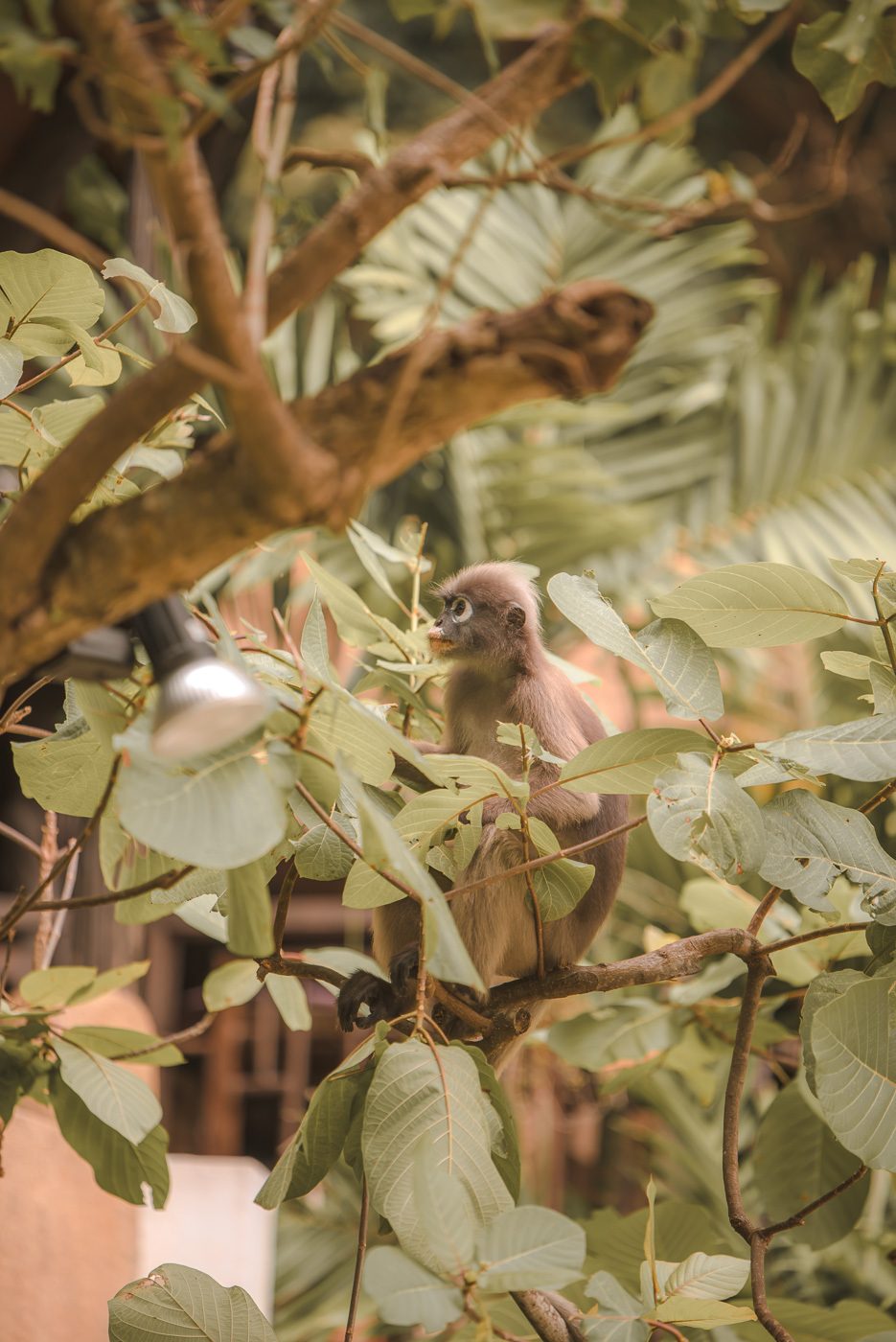 10 Days in Thailand Itinerary