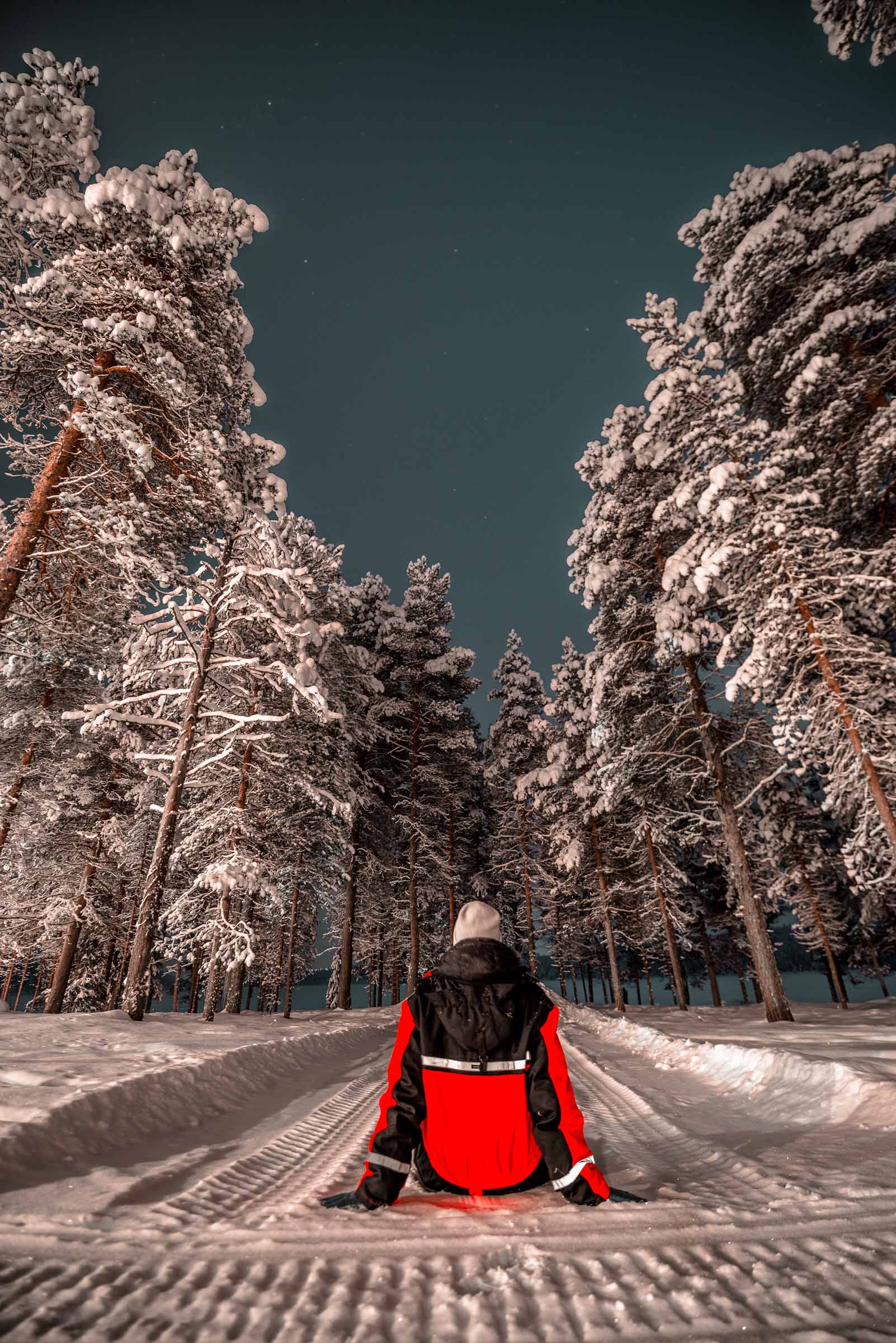 Torassieppi Finland 3782