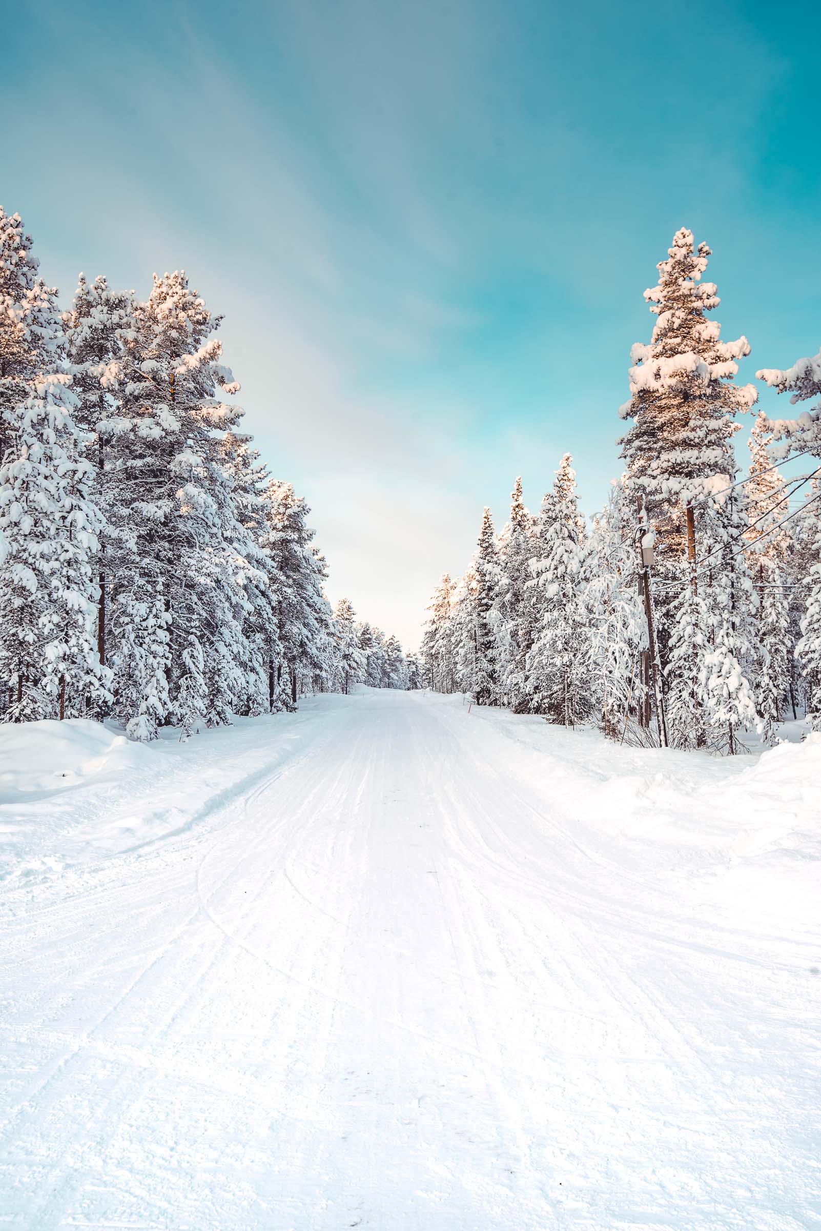 Torassieppi Finland 4108