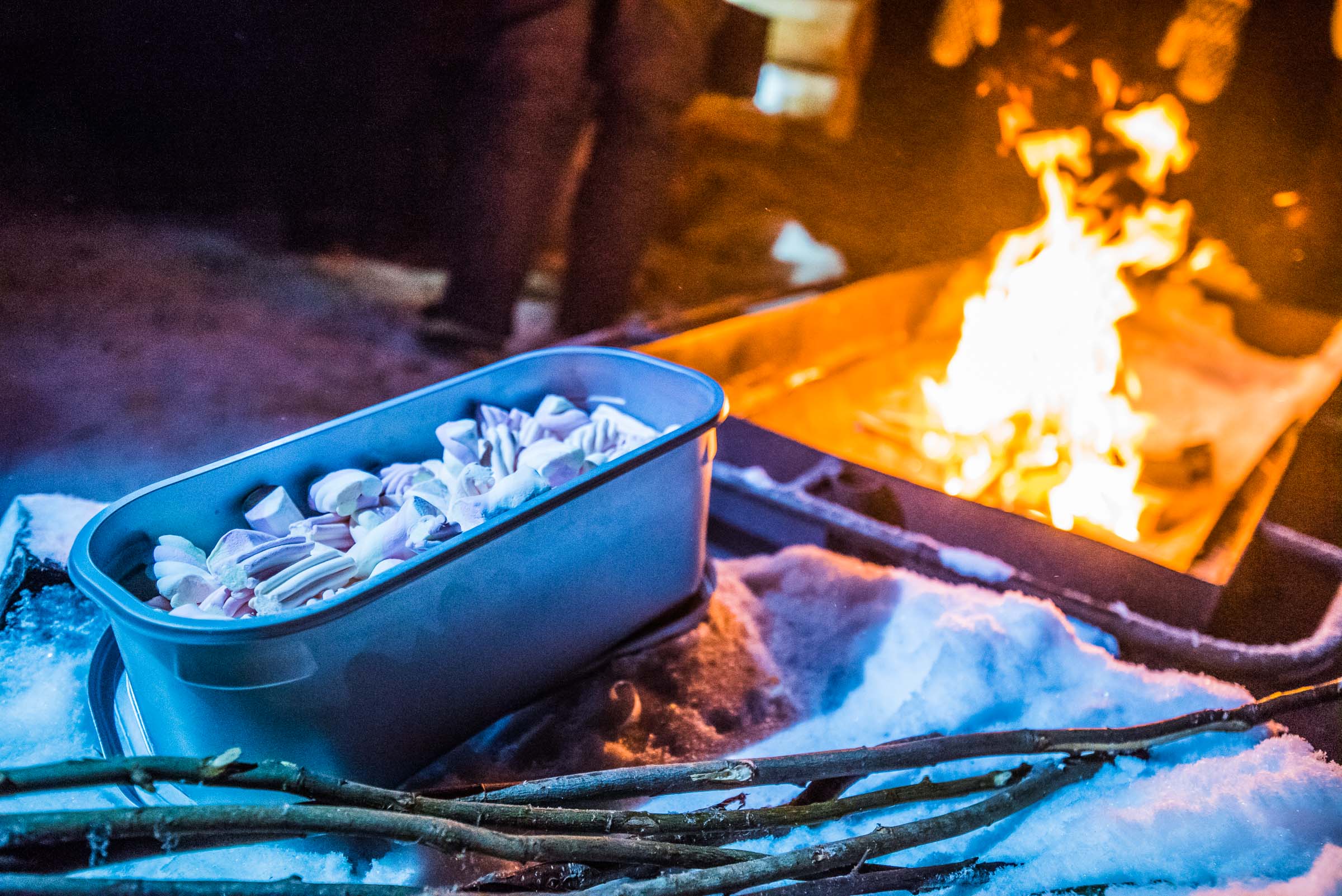 Torassieppi Finland 4419 Aurora Campfire