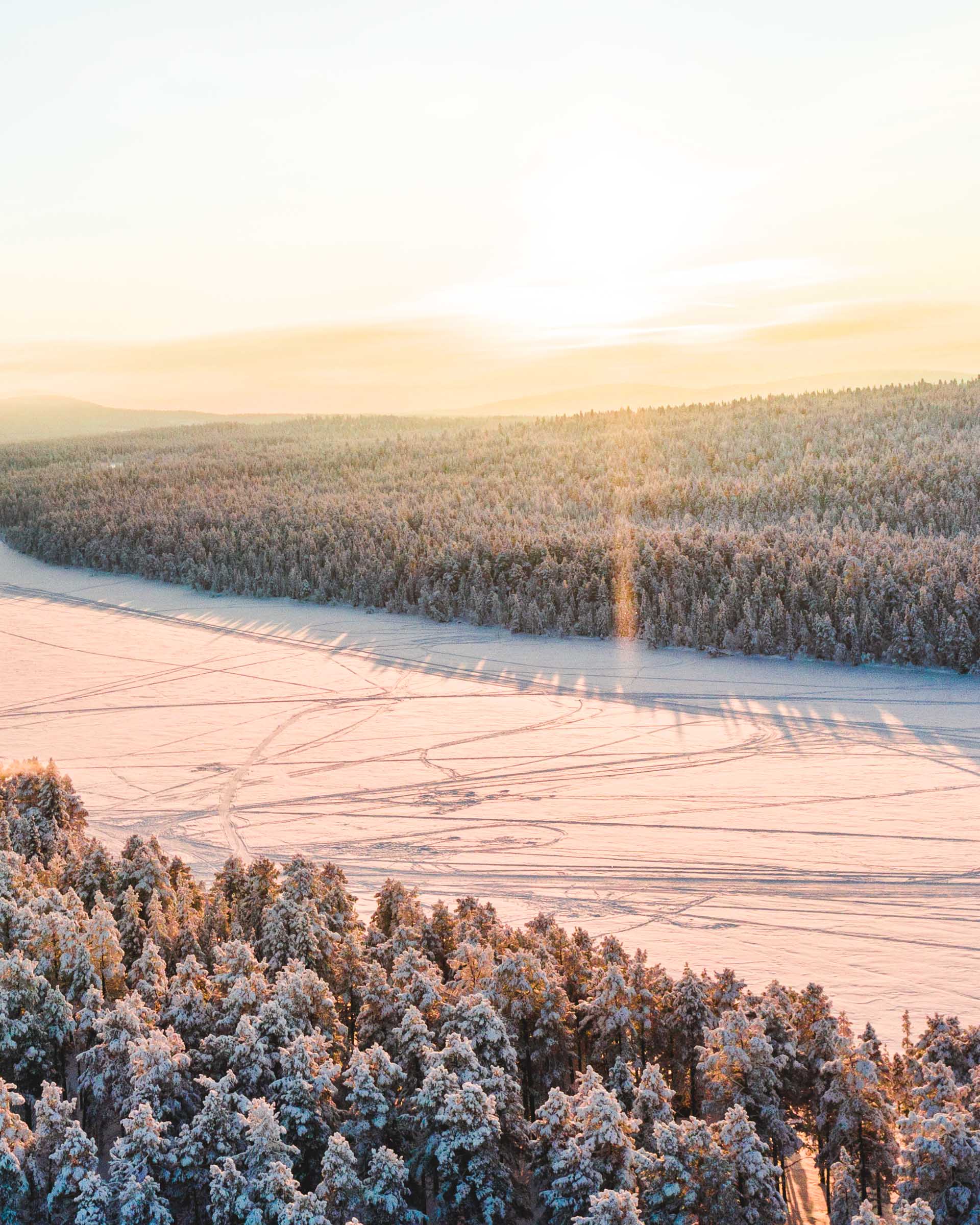 Torassieppi Reindeer Farm and Cottages0120