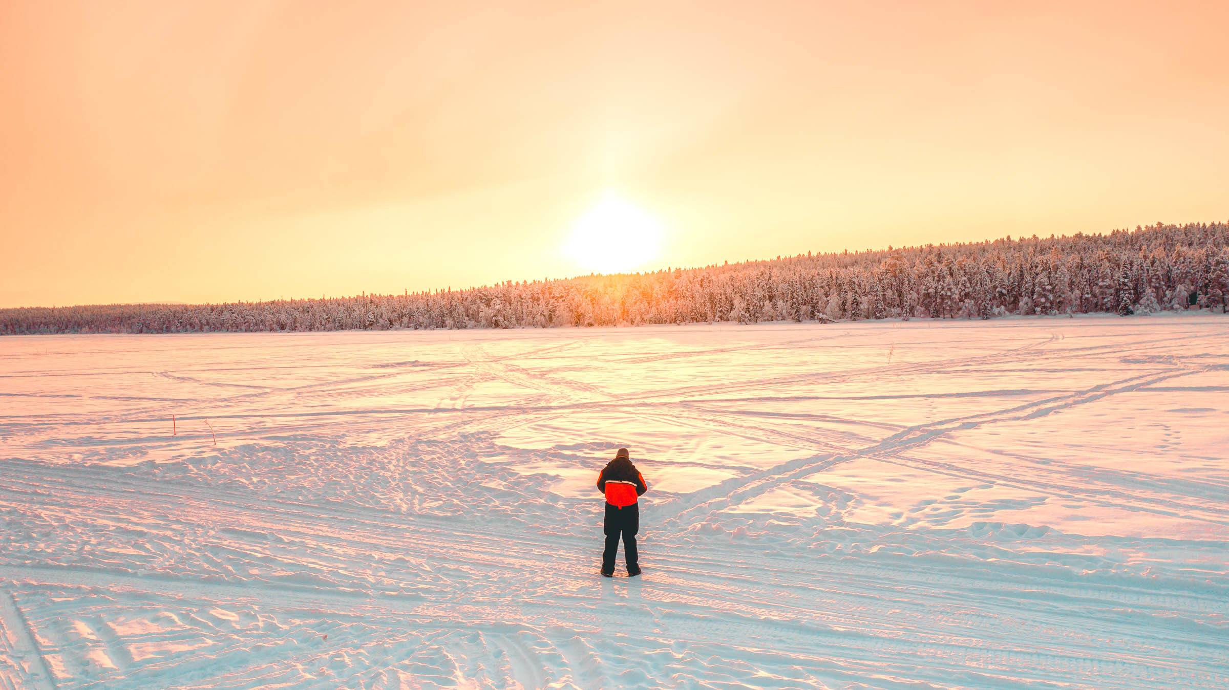 Torassieppi Reindeer Farm and Cottages0971