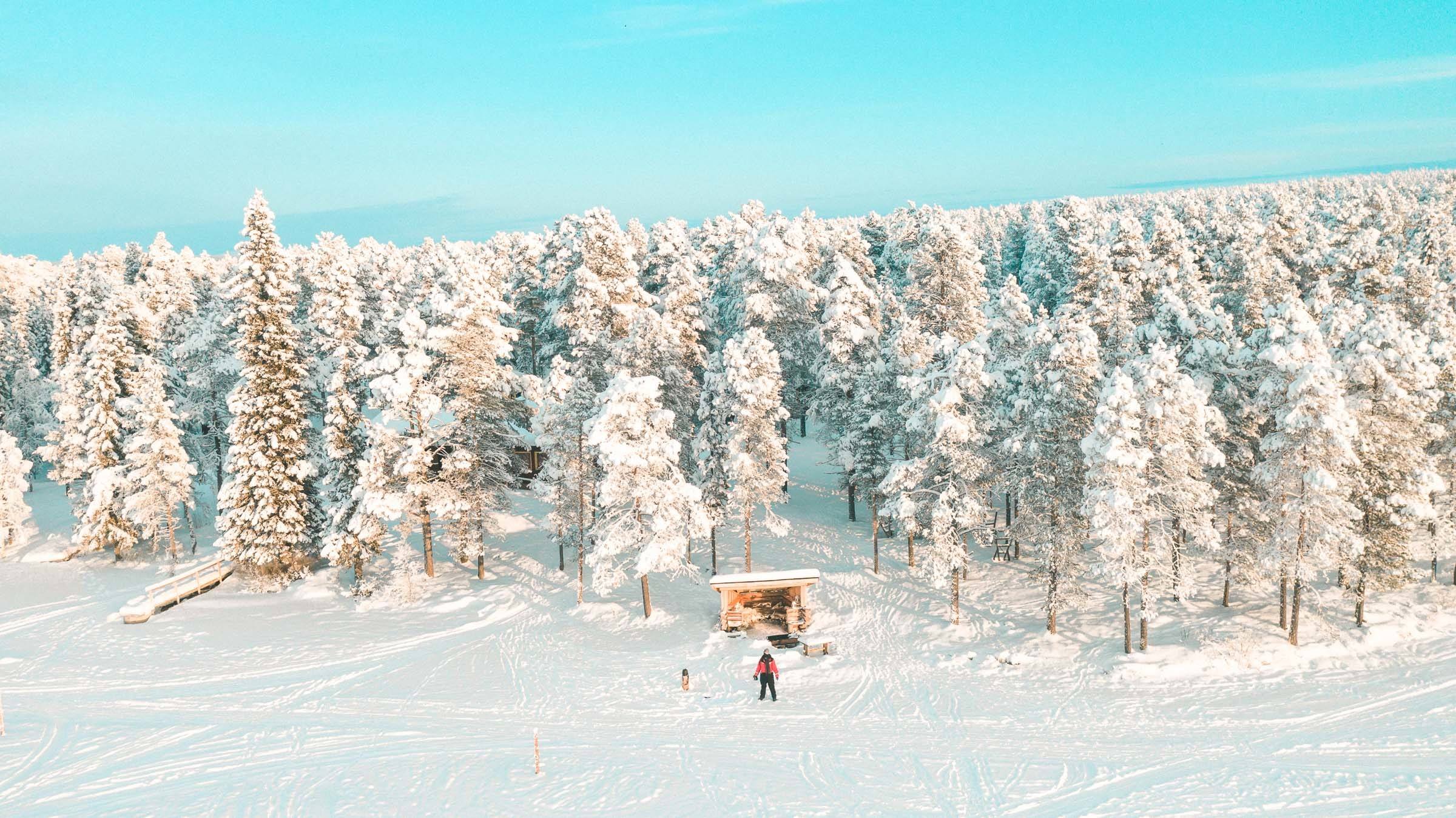 Torassieppi Reindeer Farm and Cottages0994 Torassieppi Reindeer Farm and Cottages