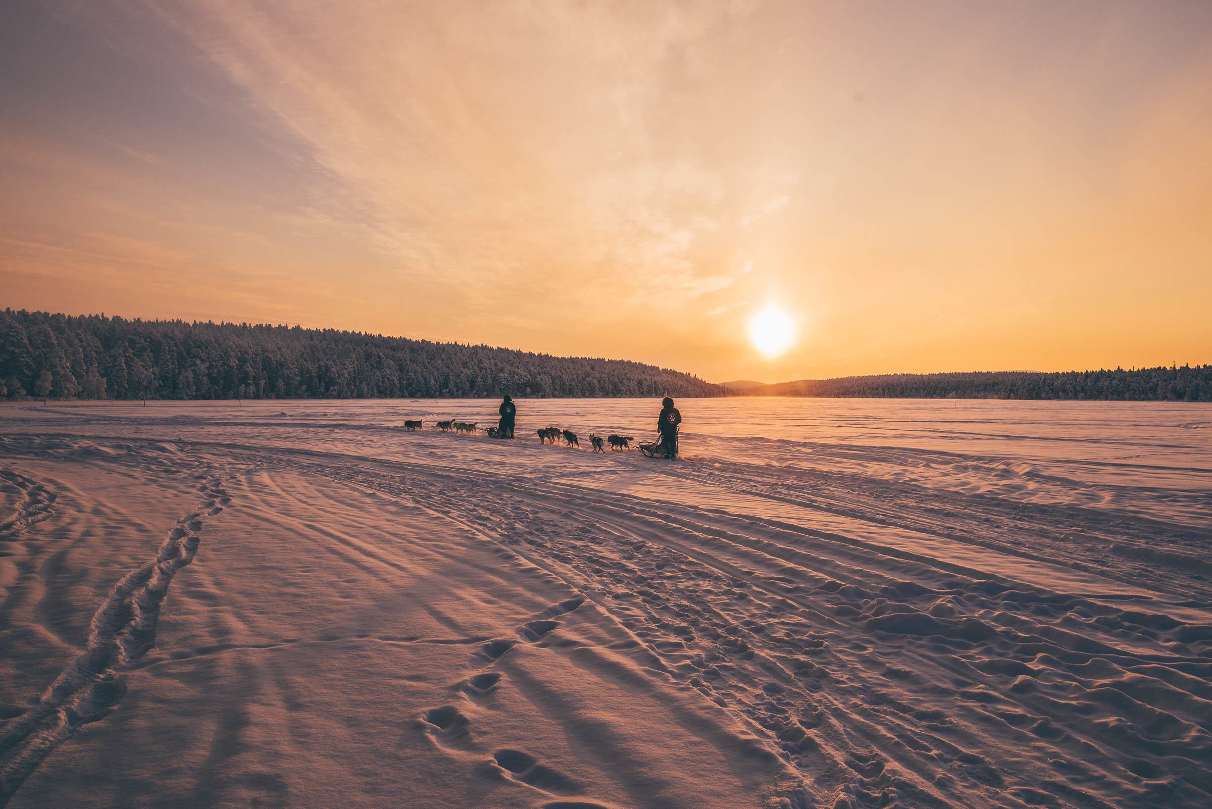 Torassieppi Reindeer Farm and Cottages3944