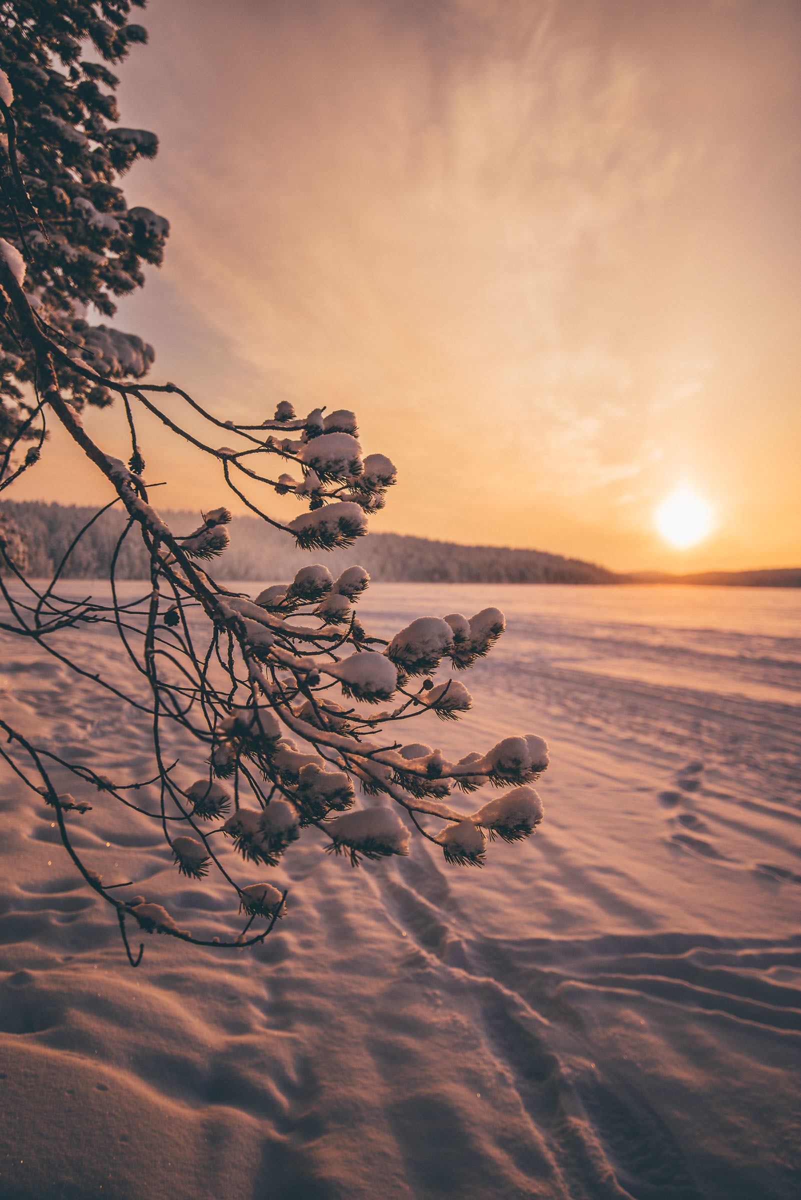 Torassieppi Reindeer Farm and Cottages3946 Torassieppi Reindeer Farm and Cottages