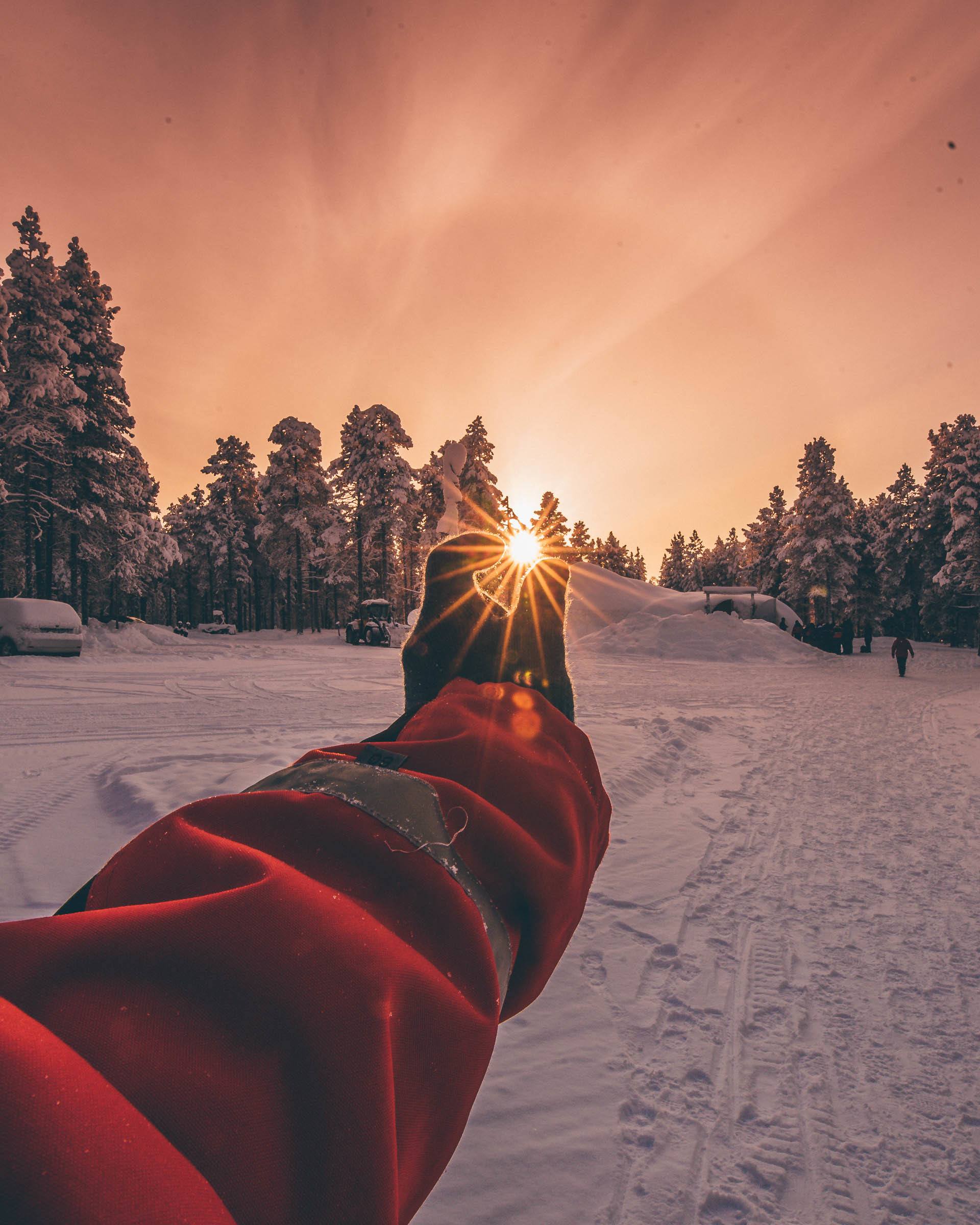 Torassieppi Reindeer Farm and Cottages4091