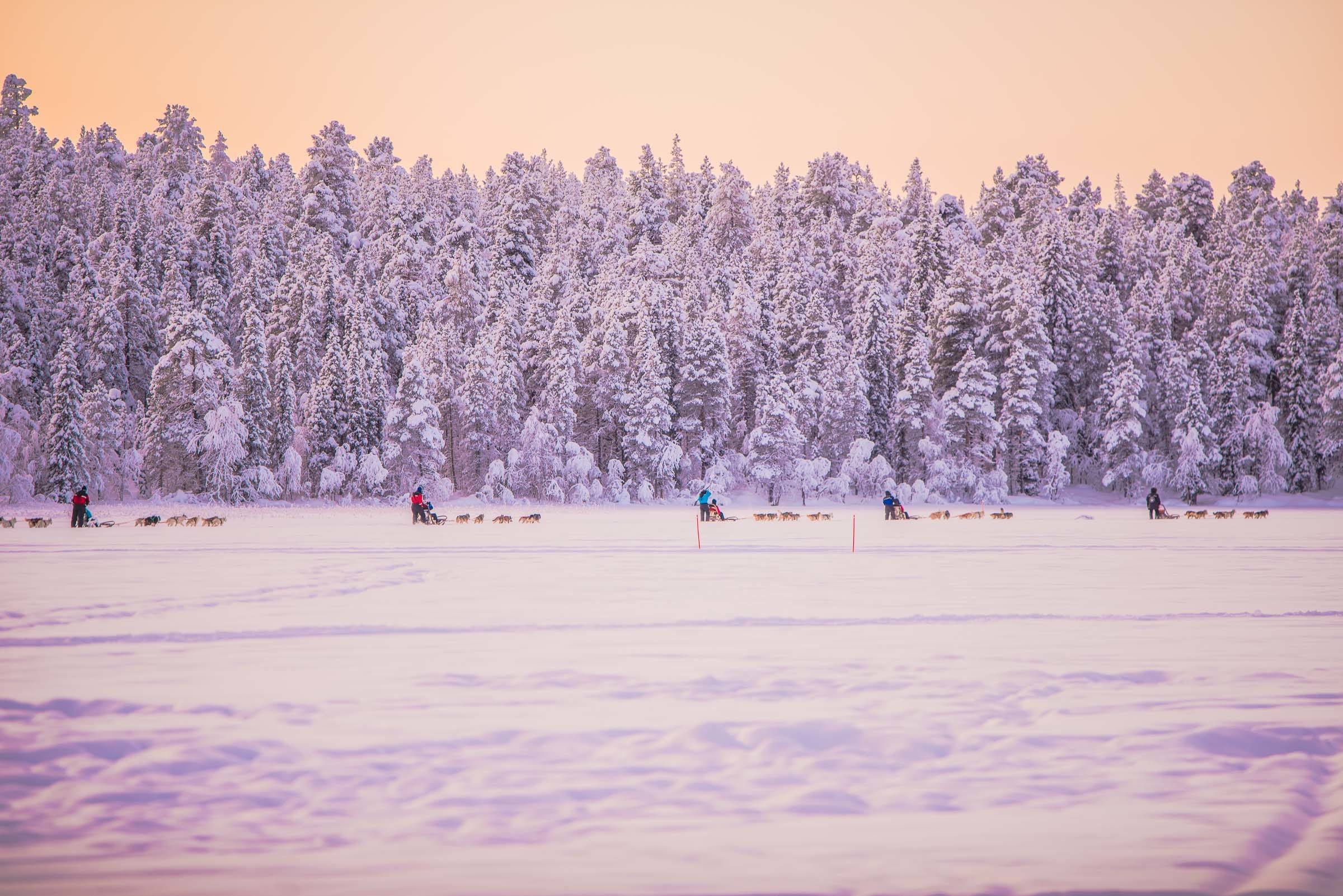 Torassieppi Reindeer Farm and Cottages4201 Torassieppi Reindeer Farm and Cottages