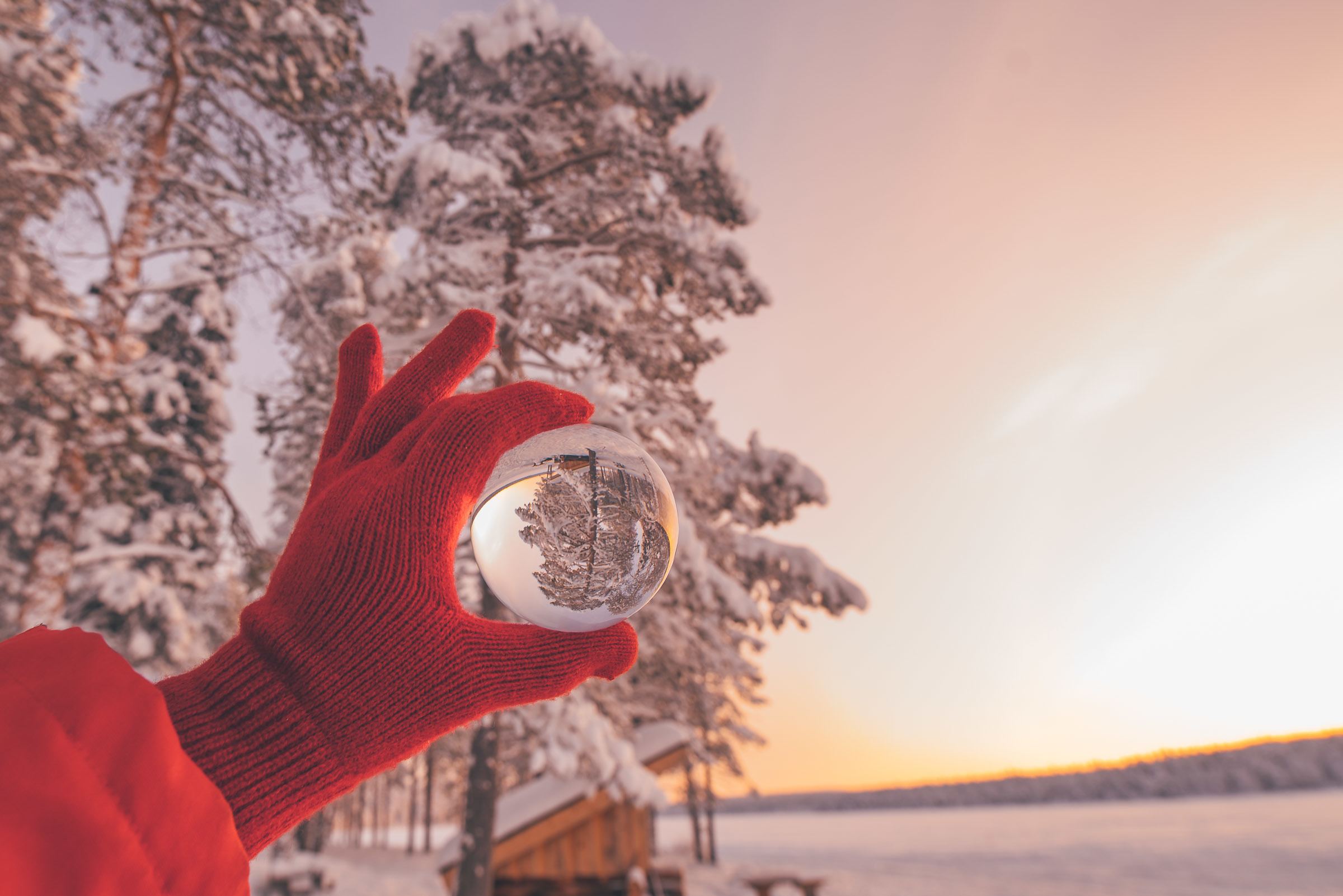Torassieppi Reindeer Farm and Cottages4221 Torassieppi Reindeer Farm and Cottages