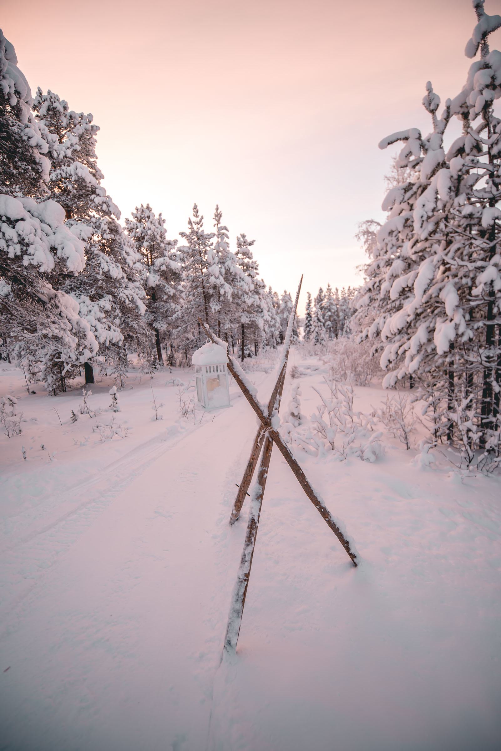 Torassieppi Reindeer Farm and Cottages4304