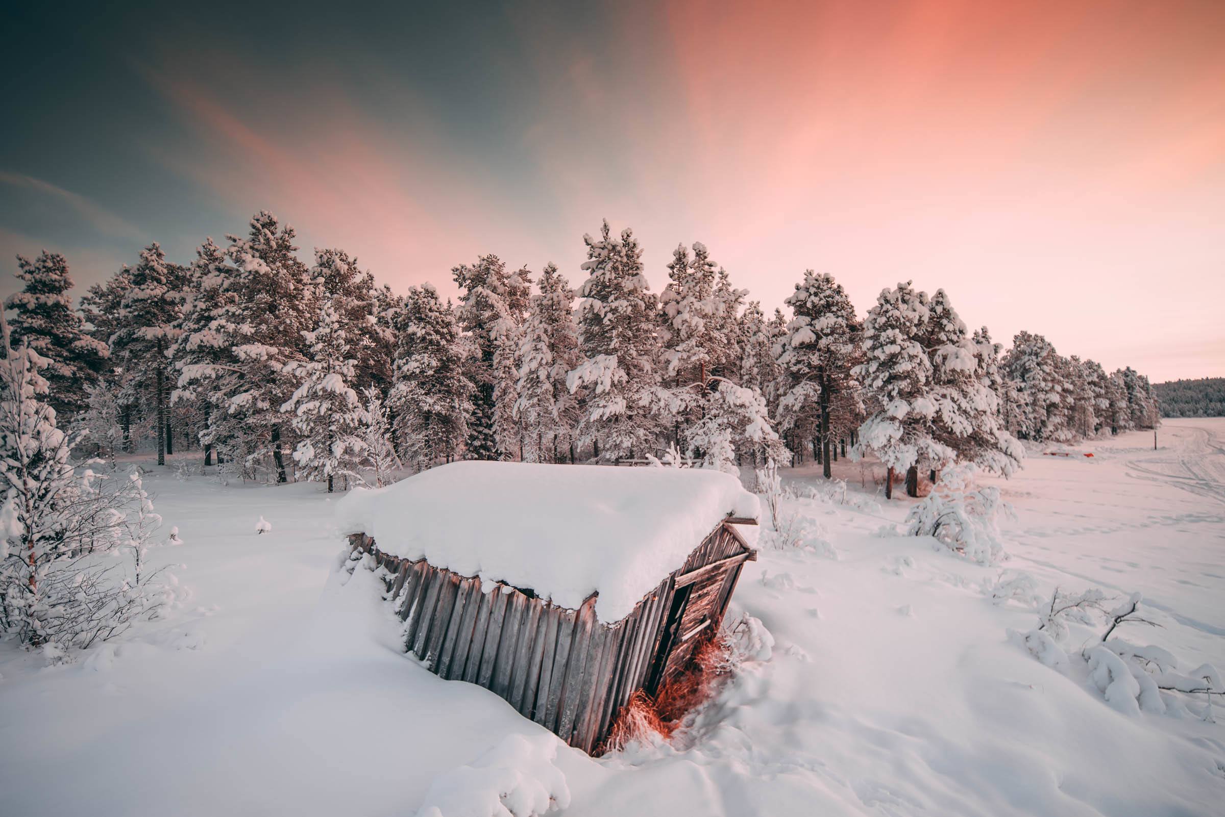 Torassieppi Reindeer Farm and Cottages4342 Torassieppi Reindeer Farm and Cottages