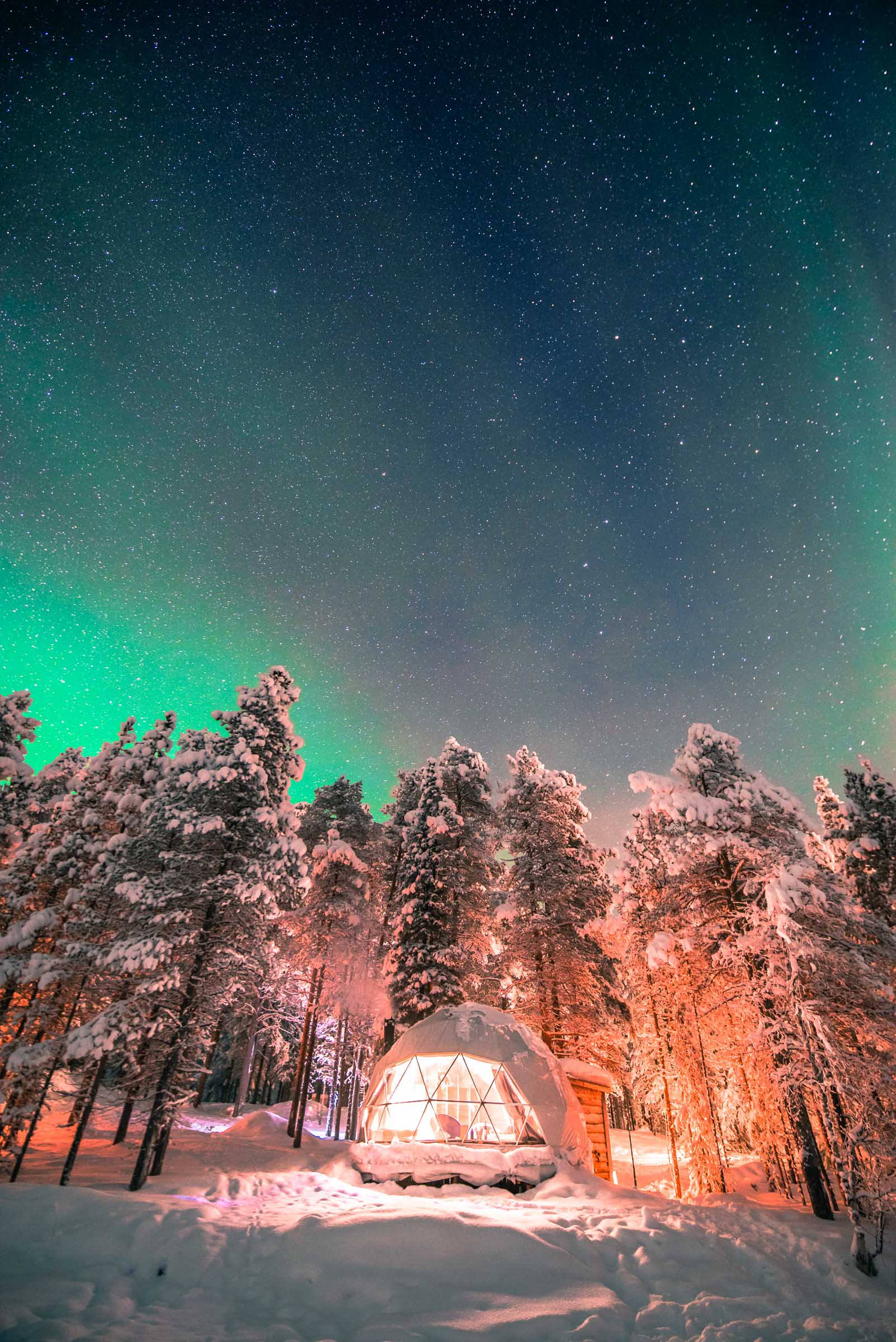 Torassieppi Reindeer Farm and Cottages5022