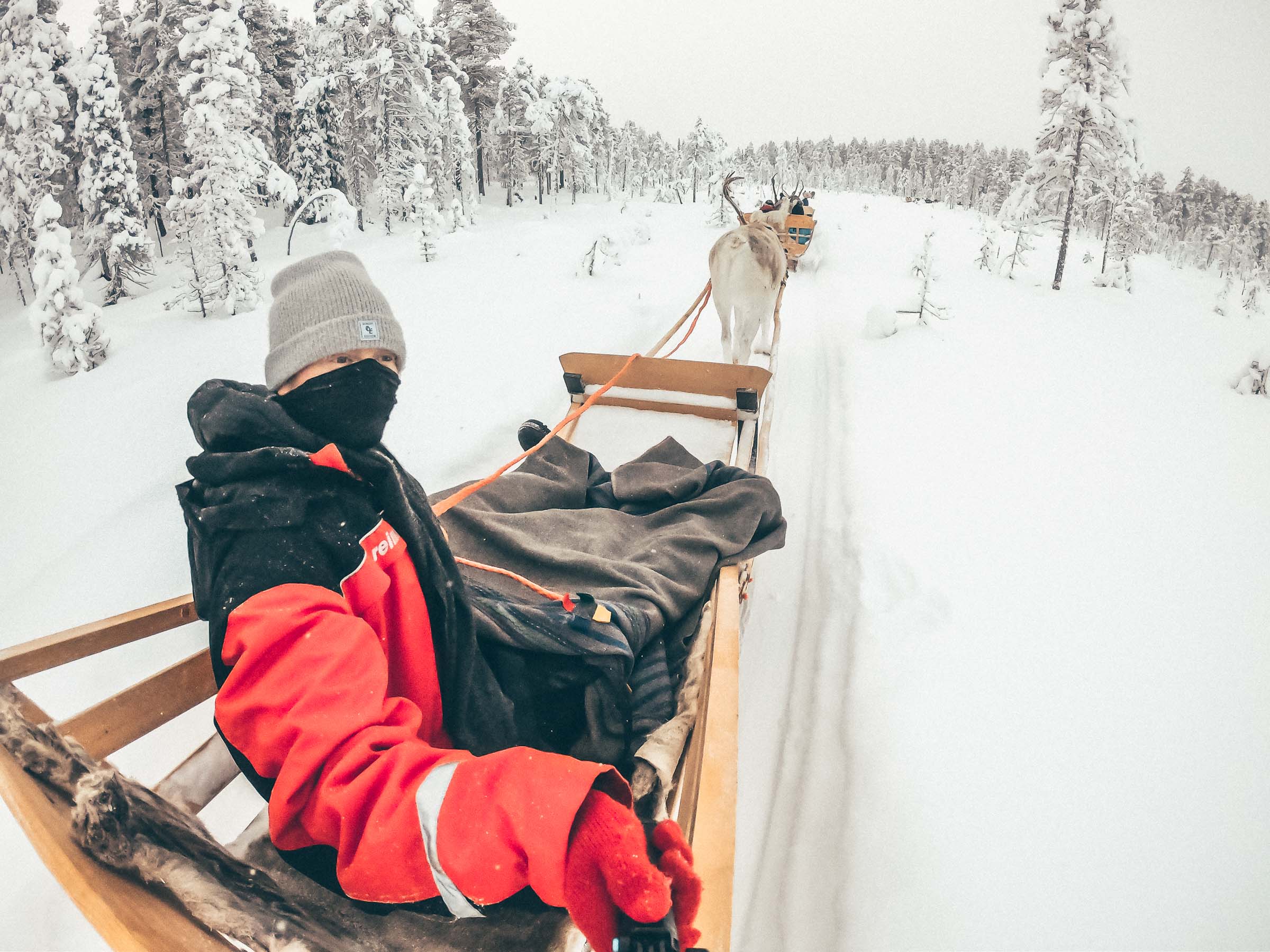 Lapland Reindeer Sleigh Ride Lapland Reindeer Sleigh Ride