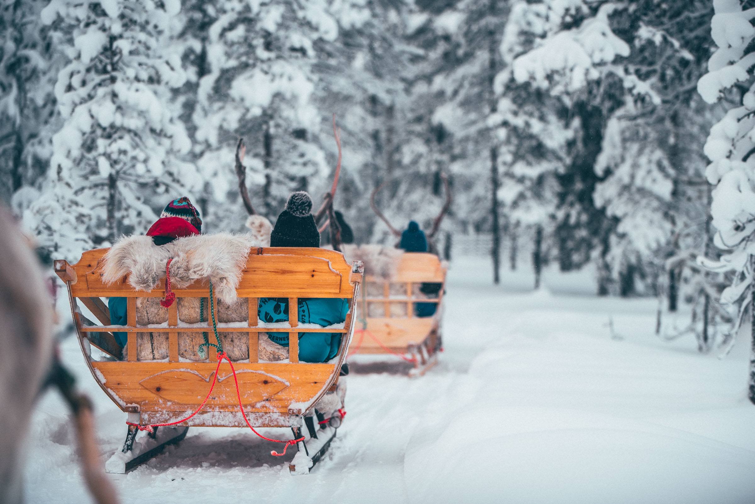 Torassieppi Reindeer Sleigh Ride Finland 4564