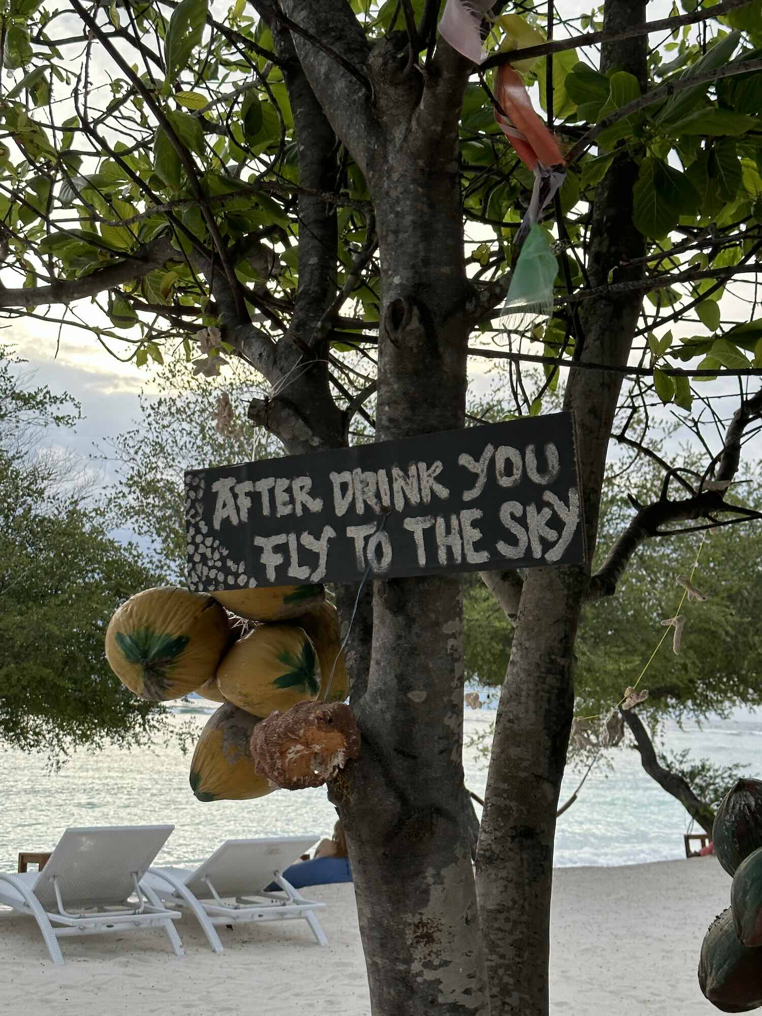 Gili Trawangan Indonesia Mushroom Sign