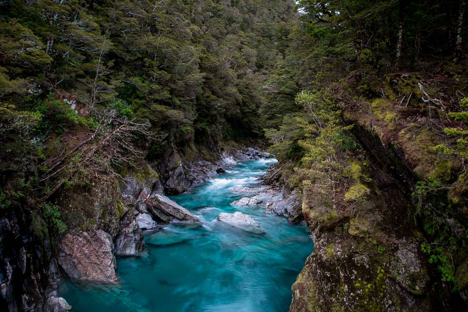 Haast Pass - new zealand south island itinerary