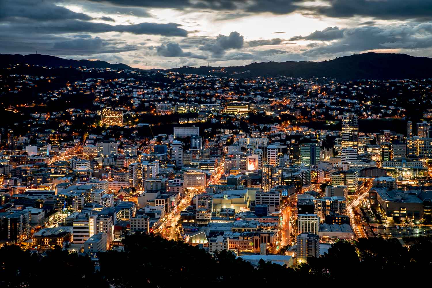 Mount Victoria - Things to do in Wellington