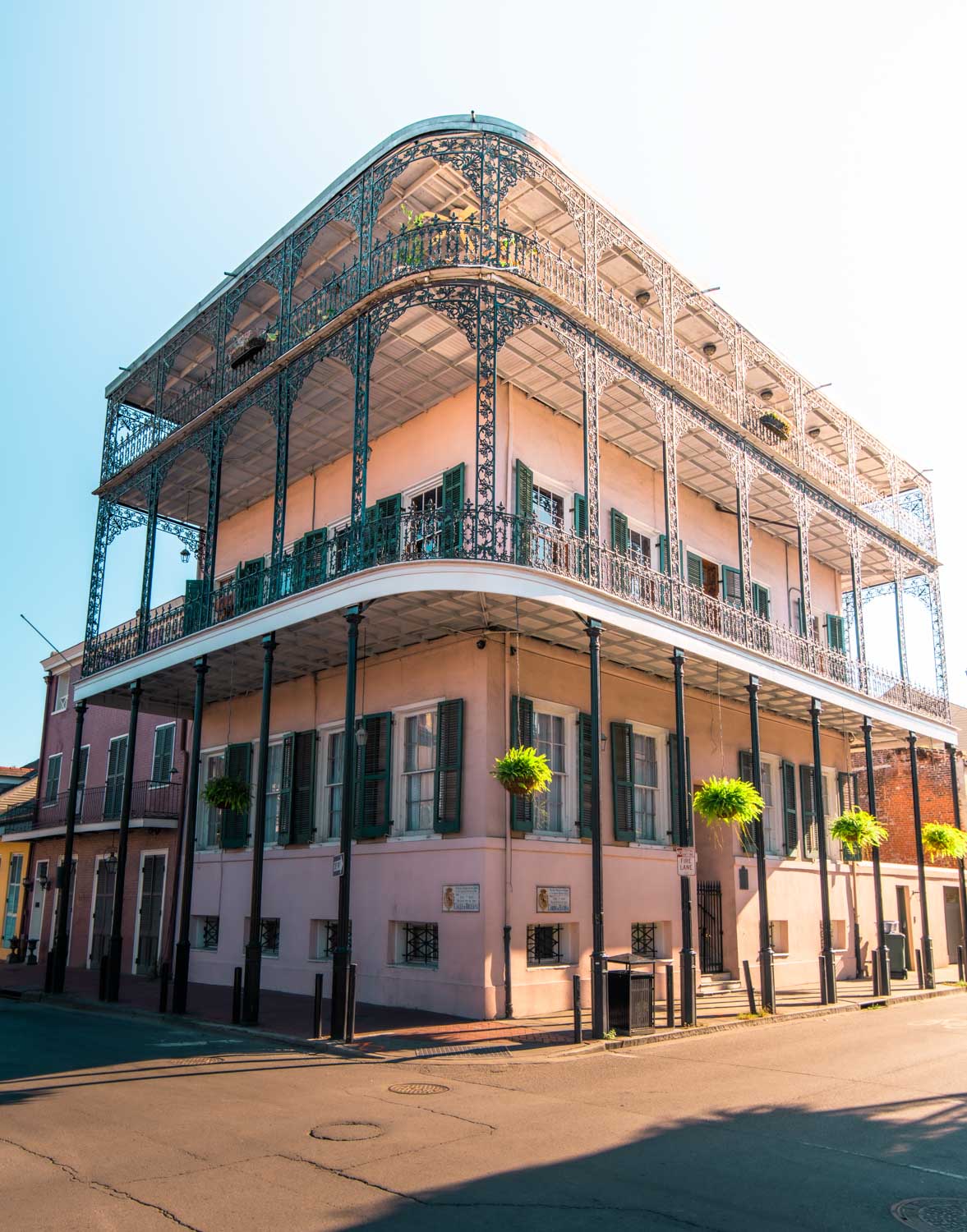 Fun New Orleans Facts