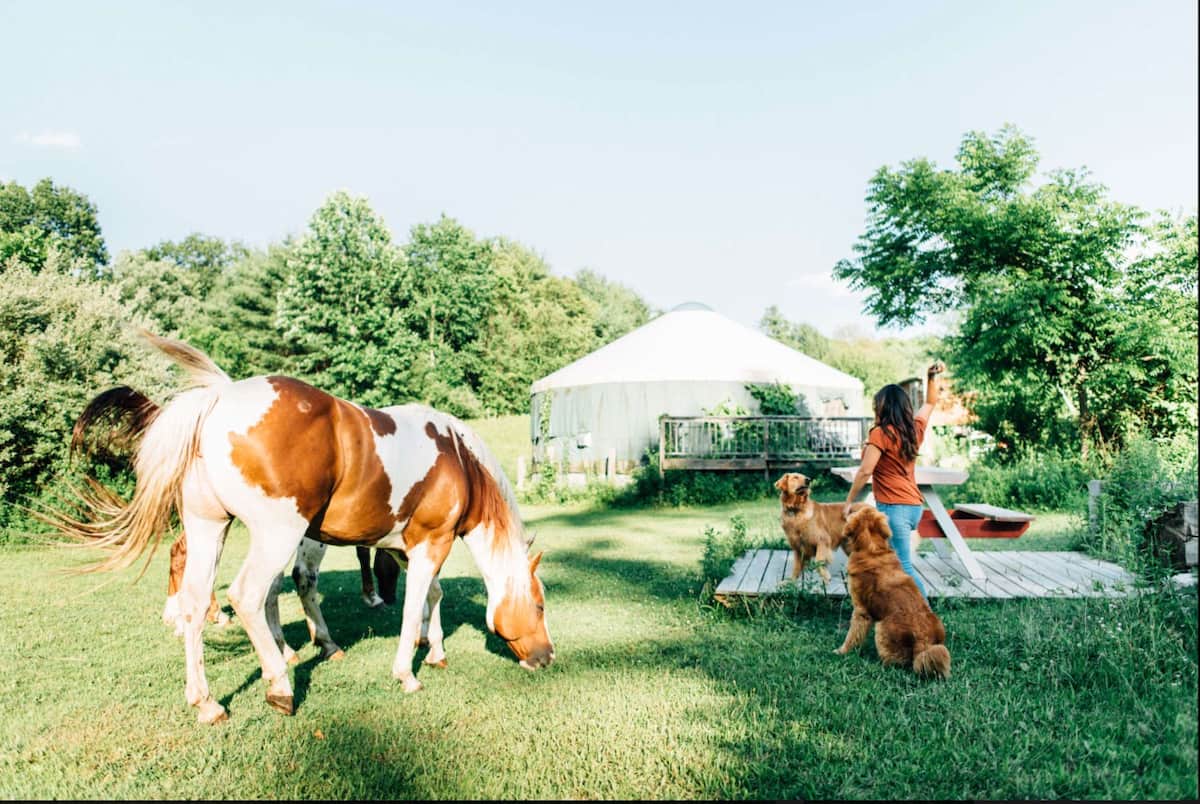 Horse & Girl in front of Glamping Yurt