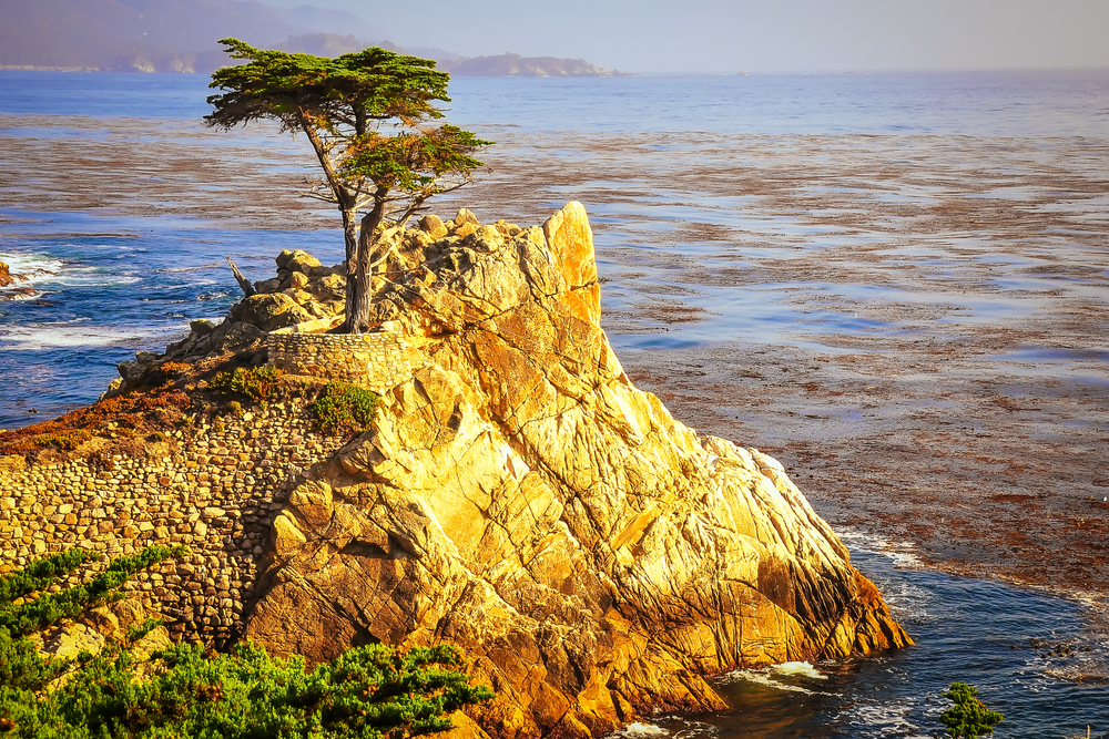 Family Airbnb Monterey