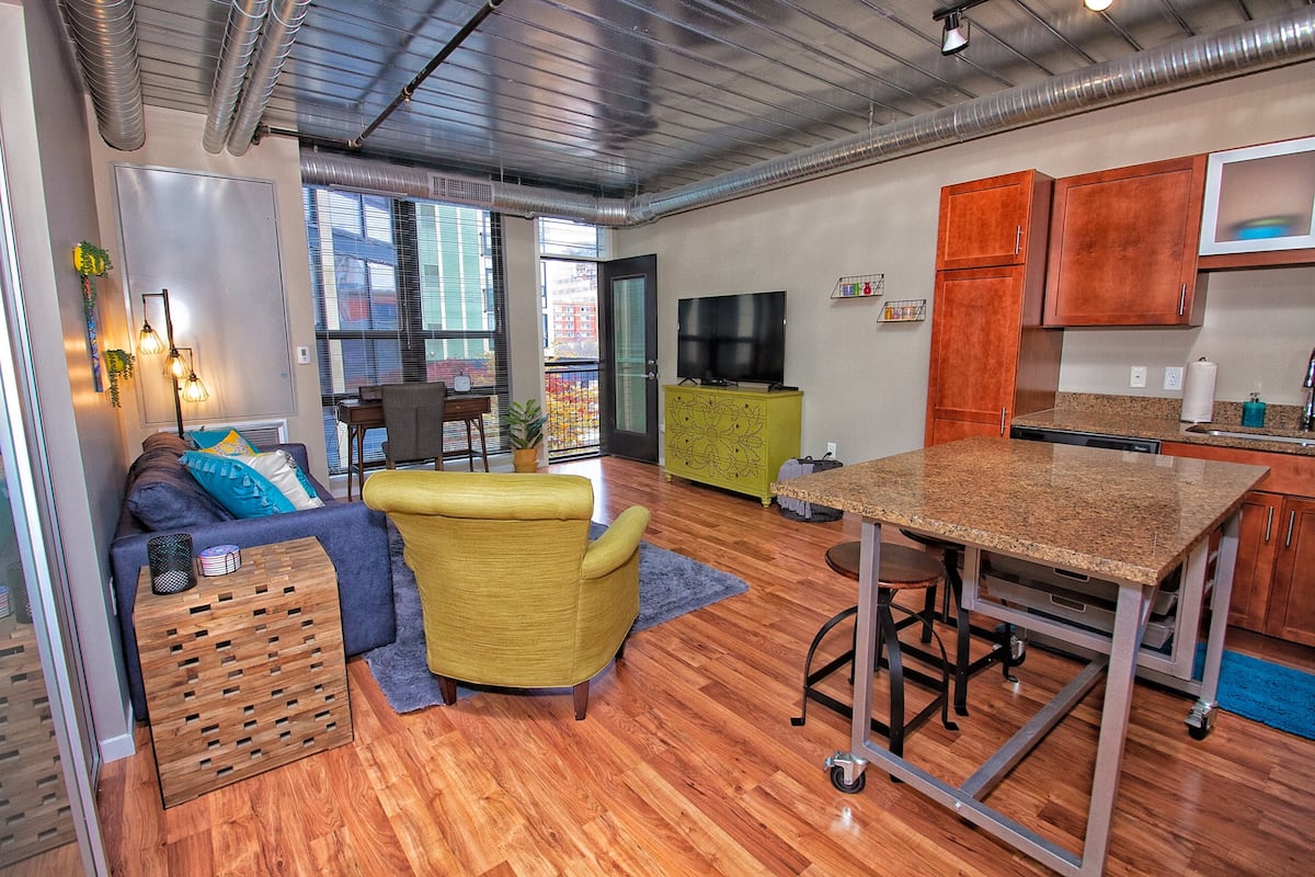 Ann Arbor Downtown Airbnb Loft