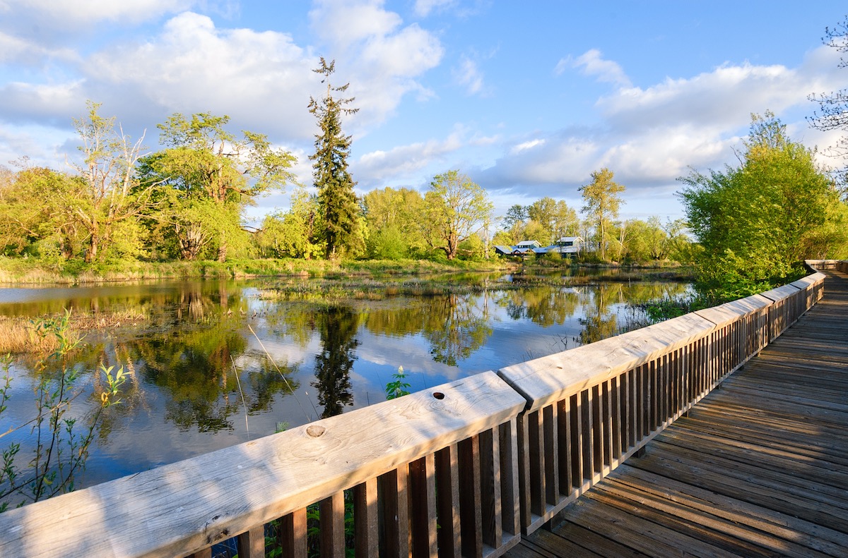 Nisqually National Wildlife Refuge