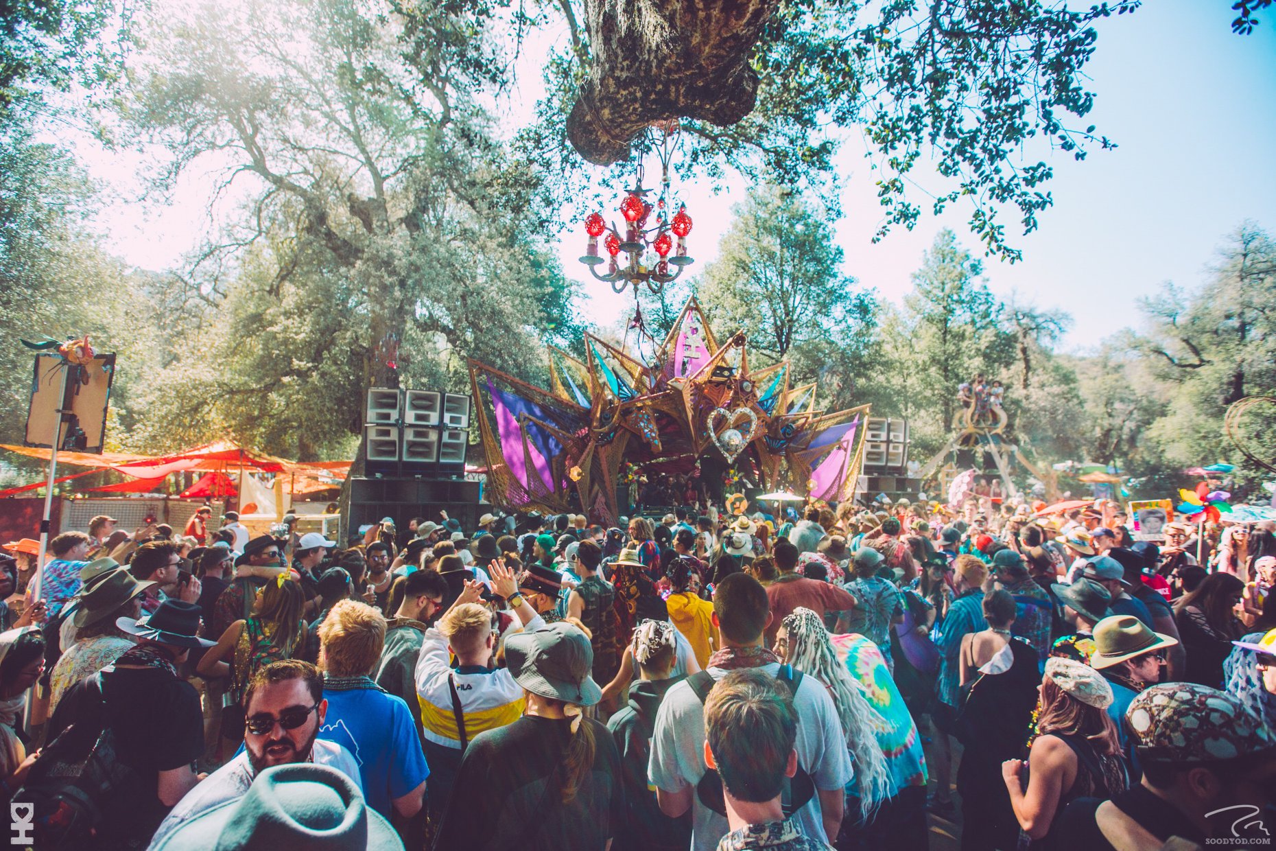 Desert Hearts Festival