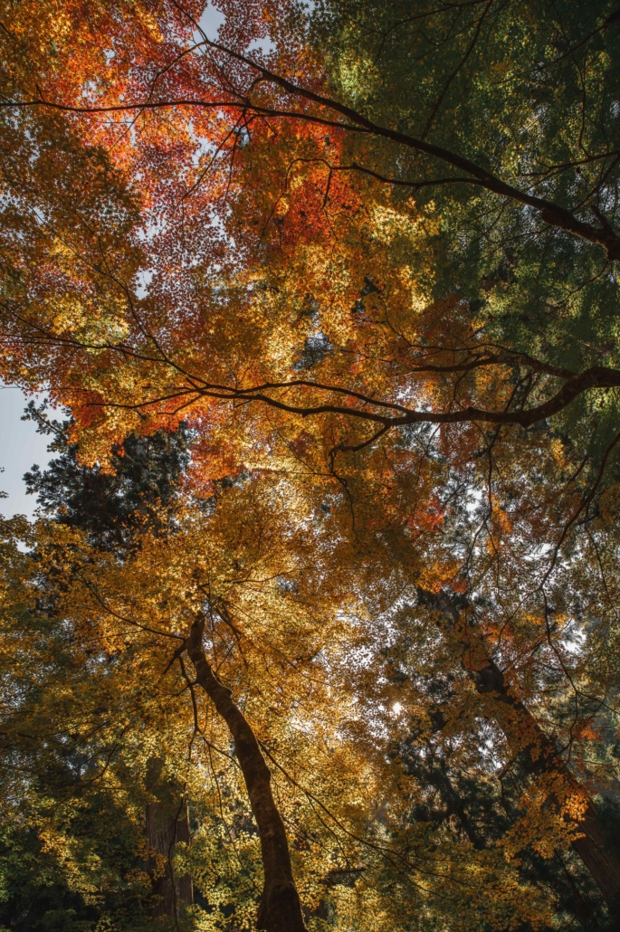 Eiheiji Temple - JATW_-15 Eiheiji Temple