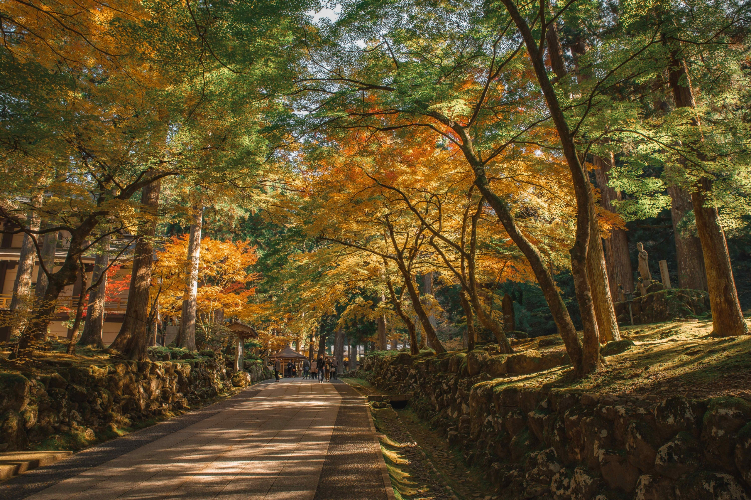 Eiheiji Temple - JATW_-16 Eiheiji Temple - Fukui PrefectureEiheiji Temple - Fukui Prefecture