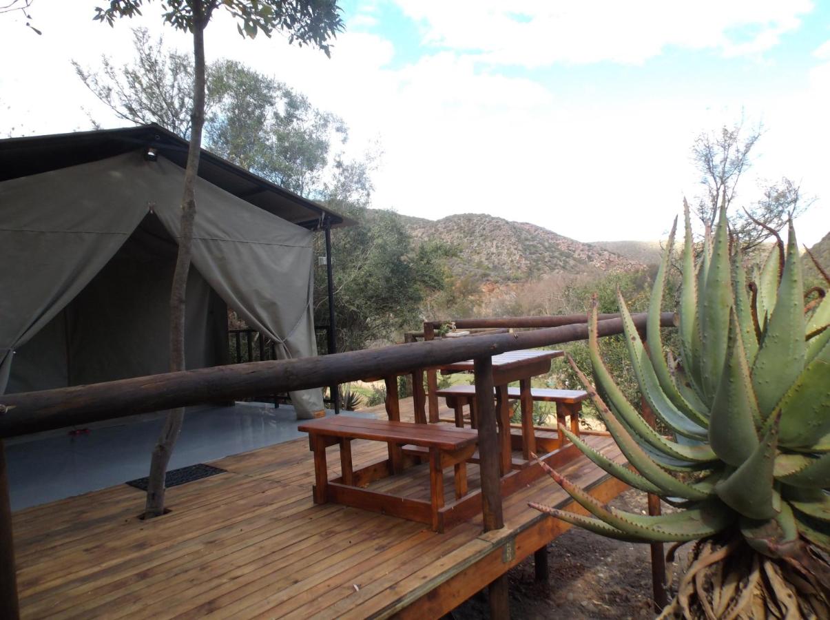 Old Mill Lodge - Glamping in South Africa