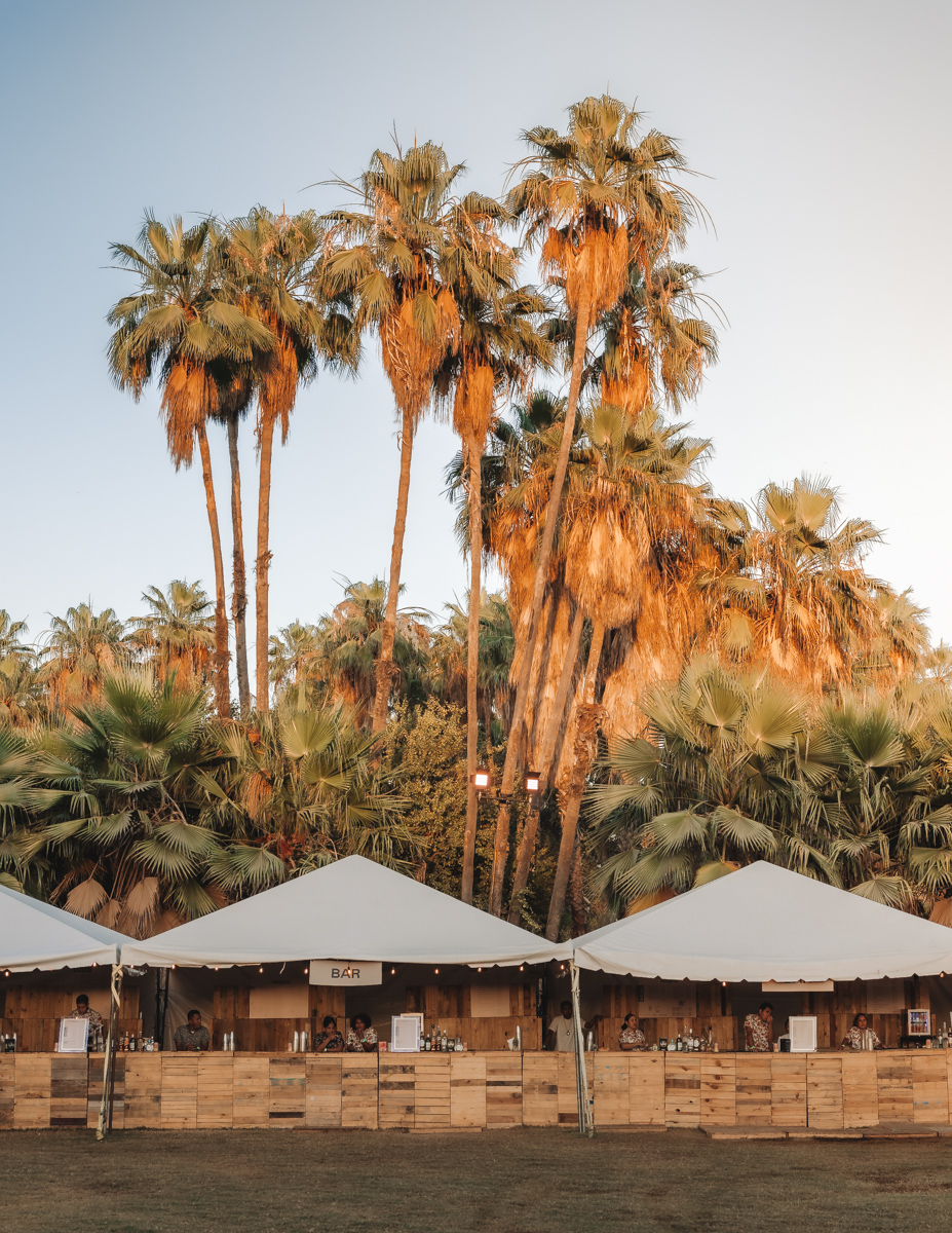 Sundream Baja Festival Review