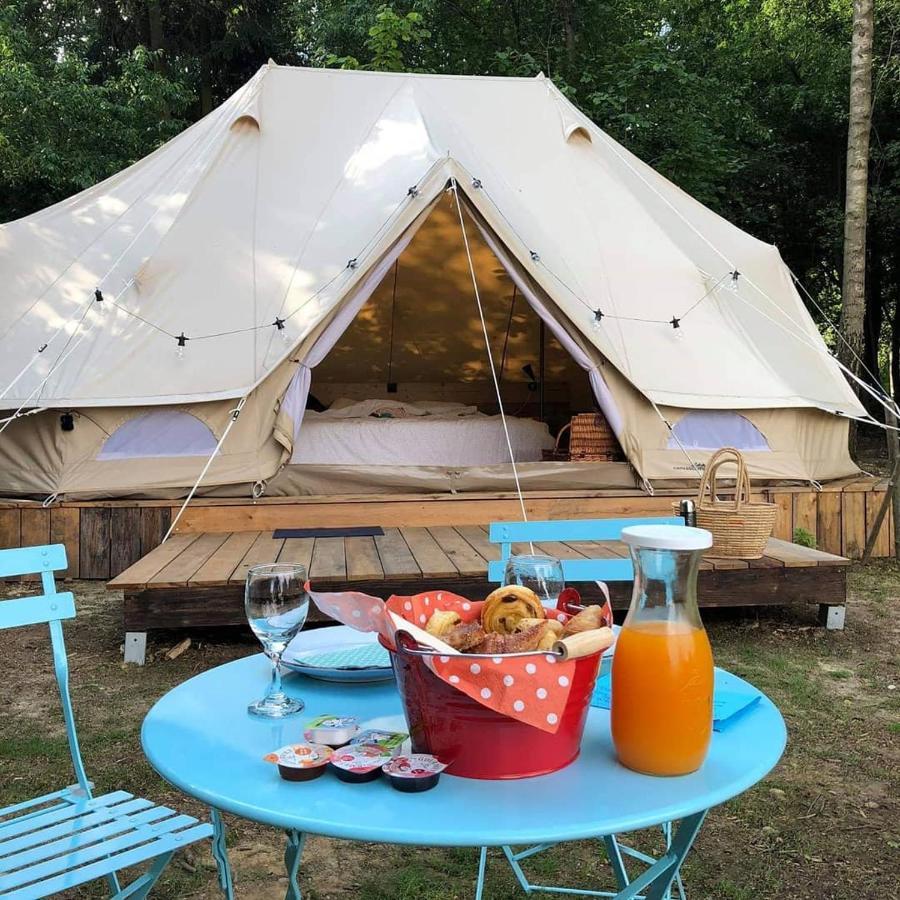 Cowcooning - Belgium