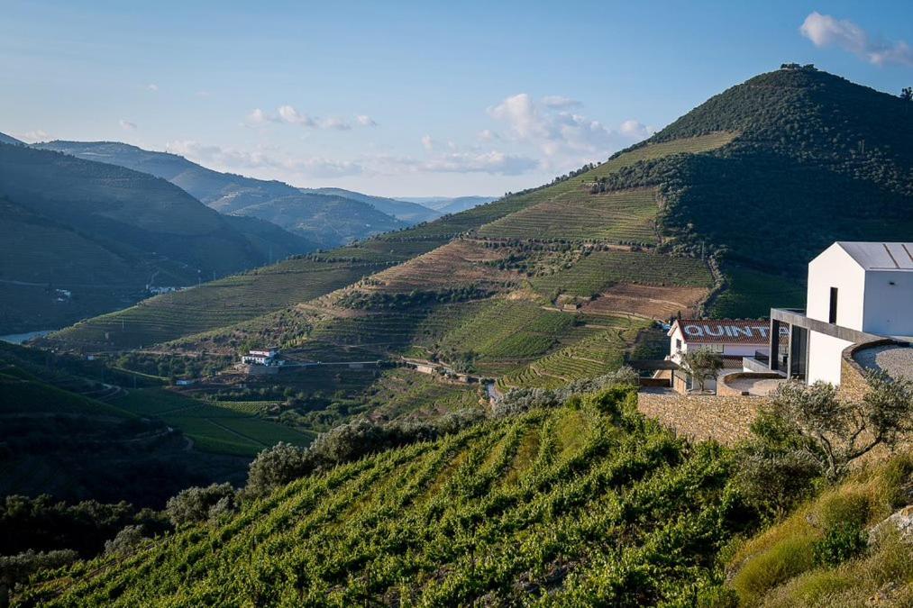Quinta da Côrte - WIne Hotels in Portugal