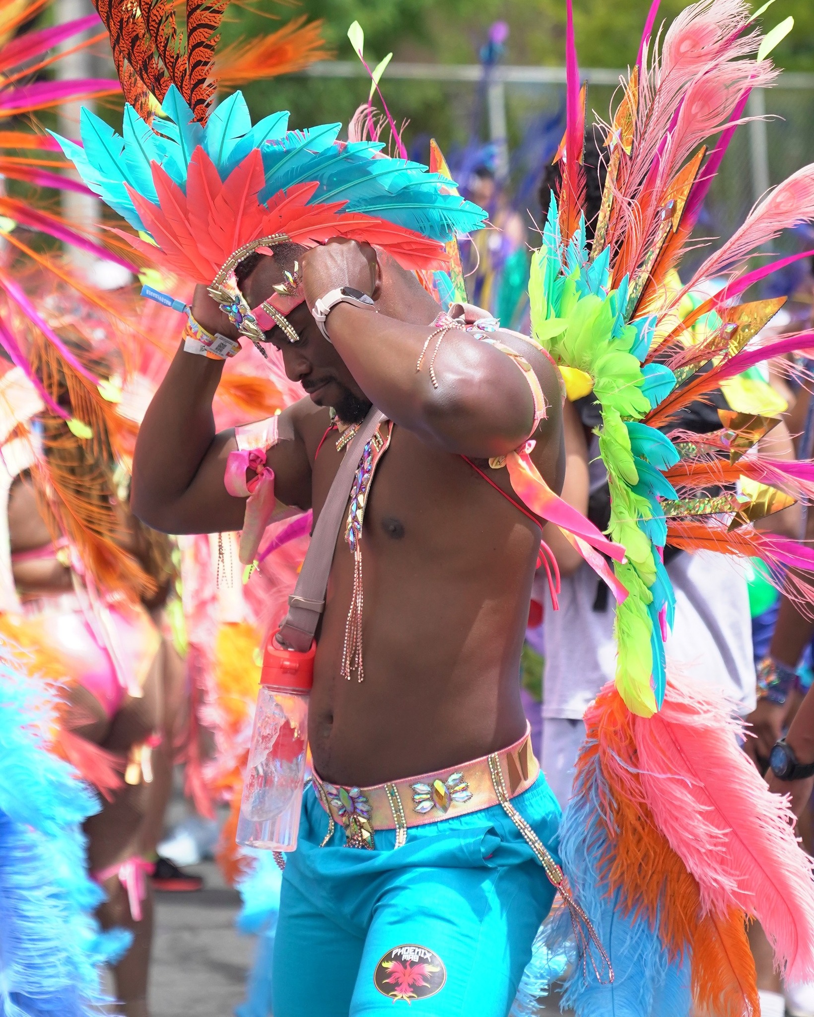 Toronto Caribbean Carnival