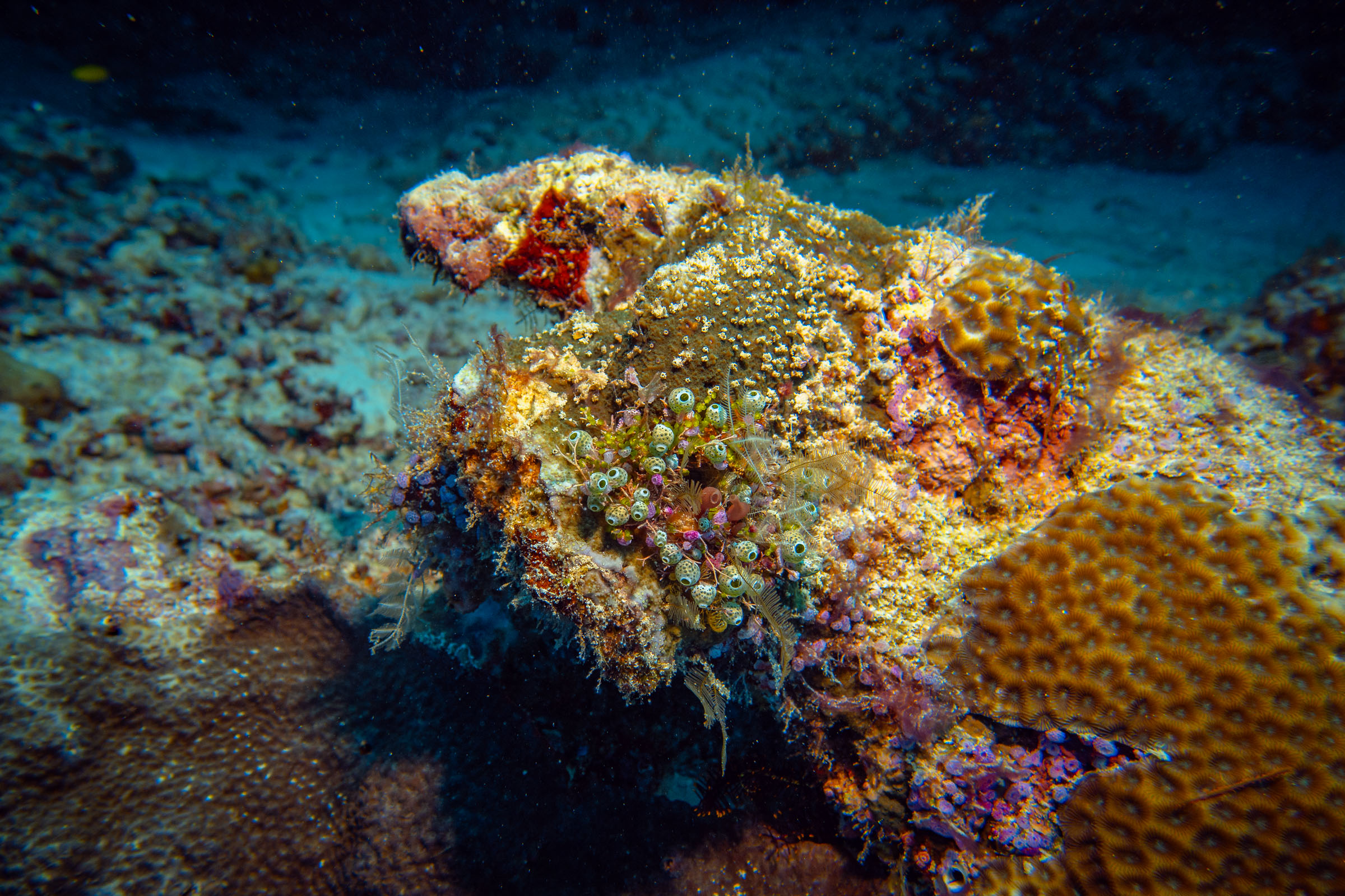 Seaventures Dive Rig