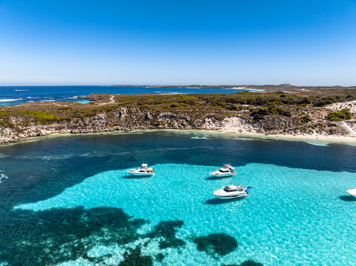 Rottnest Island Day Trip